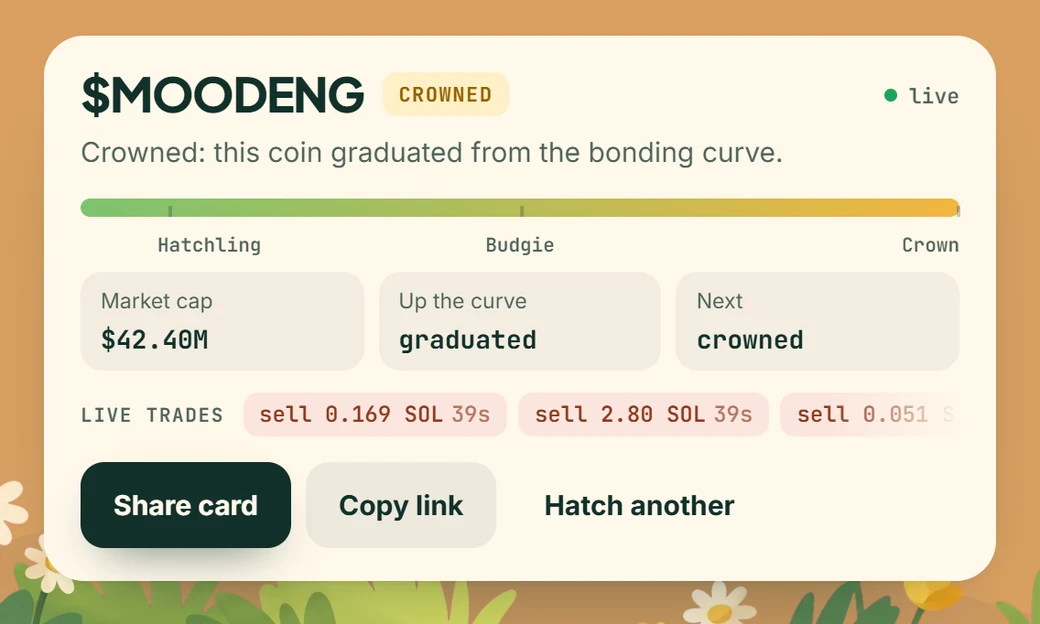 A hatched coin's card with its live trades